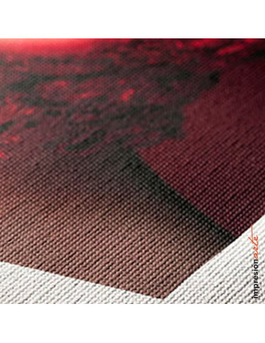 Impresión Digital sobre lienzo
